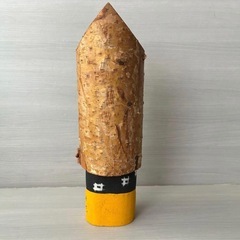 白樺　日光　こけしの画像