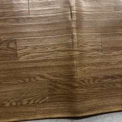 受付終了　ホットカーペットの画像