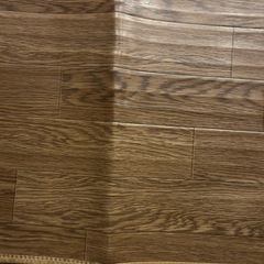 受付終了　ホットカーペットの画像