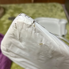 イングリッシーナの画像