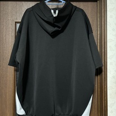 フラボアパーク　ワイド半袖パーカーの画像