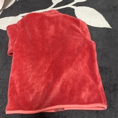 フリース110の画像