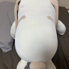 ぬいぐるみの画像