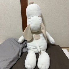 ぬいぐるみの画像
