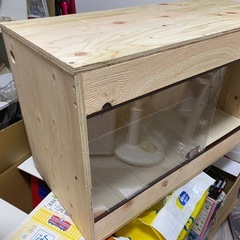 ハリネズミ　爬虫類　ケージの画像