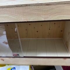 ハリネズミ　爬虫類　ケージの画像