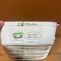 豆苗プランター　1つ50円、まとめて200円の画像