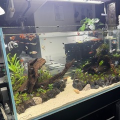 ADA90センチ水槽と水槽台とライト２つ　の画像