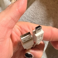 シャープ 2020年製    プラズマクラスターイオン発生器の画像