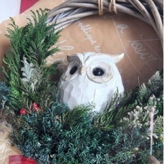 クリスマスリースフクロウプリザーブドフラワー クリアケースギフト25×25の画像