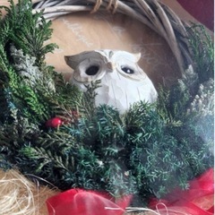 クリスマスリースフクロウプリザーブドフラワー クリアケースギフト25×25の画像
