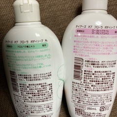 ティアーズ オブ フローラ ギフトセット(TFR-15)の画像