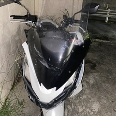 PCX05の画像
