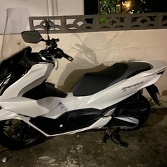 PCX05の画像