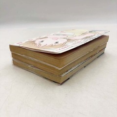 [全巻セット] 花のズボラ飯 1～3巻 ※レンタル落ち 水沢悦子 久住昌之の画像