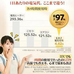 【新品】ふんわり素材 電気毛布 掛け敷き 大判 洗える ひざ掛け 電気ブランケットの画像