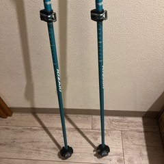 キザキ　スキーストック　カーボン
の画像
