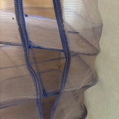 難あり干し網の画像