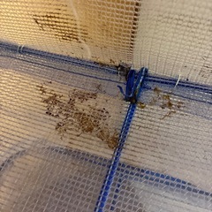 難あり干し網の画像