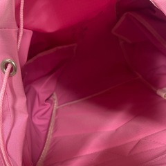 ピングービッグリュックサックスキーや合宿にの画像