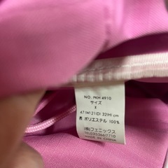 ピングービッグリュックサックスキーや合宿にの画像