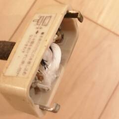 ペンダントライト / 人感センサーLED電球の画像