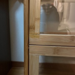 ショーケースの画像