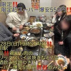 (今回限定‼️‼️超スーパー爆安550円‼️)【12月28…