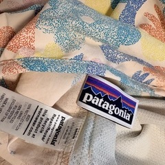 ＜patagonia＞ウィメンズ バギーズ ジャケット XXLの画像