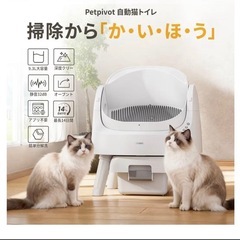 猫自動トイレ 【新品未使用】の画像