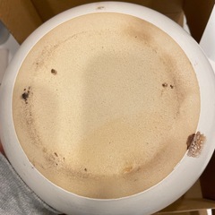 土鍋 1人用 16.5cm ホワイトの画像