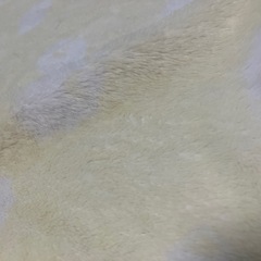 ベビースリーパー 黄色の画像