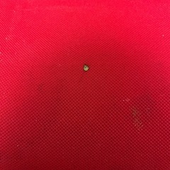 エアリーシェイプの画像