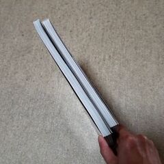 櫻坂46.乃木坂46.田村保乃-田村真佑、写真集※100円引き可能の画像