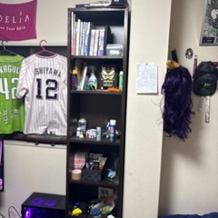 ニトリ ブックシェルフ 高さ180cmぐらい横幅40cmぐらいの画像