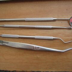 🍊歯石取りセット①の画像