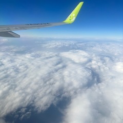 沖縄旅行の画像