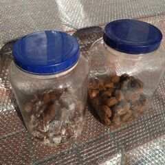 塩っぱい梅干しの画像