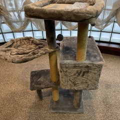 キャットタワーの画像