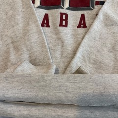 90s usa製 JANSPORT ALABAMA Lサイズ スウェット グレイの画像