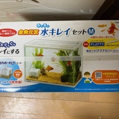 水槽  小さ目  新品  GEXの画像