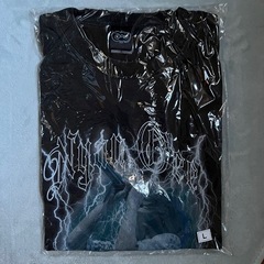 ANO ちゃん Tシャツ ライブの画像