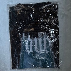 ANO ちゃん Tシャツ ライブの画像