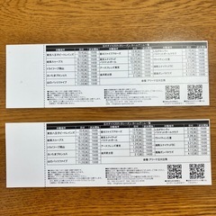 2枚セット❣️B3リーグ 立川ダイス 観戦チケット 2025年12月28日(日)の画像