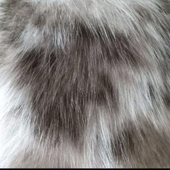 新品未使用ジバンシィファーマフラーの画像