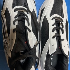 25.5センチのスニーカーの画像