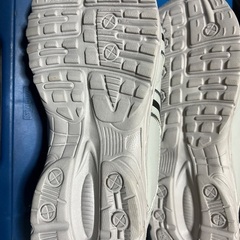 25.5センチのスニーカーの画像