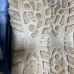 25.5センチのスニーカーの画像