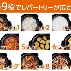 クッキングプロ電気圧力鍋の画像