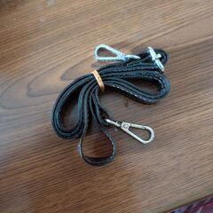 レオパード柄のスケスケパックの画像